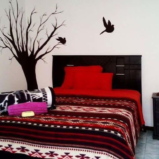 The Backpacker Hostal Ibarra Exterior foto