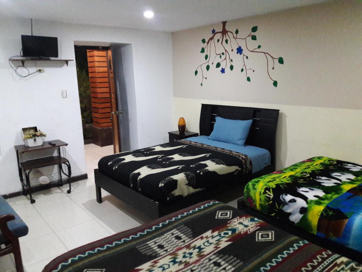 The Backpacker Hostal Ibarra Exterior foto